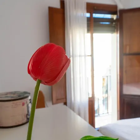 Light House Sherry Апартаменти *